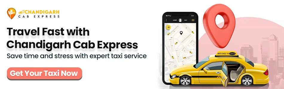 routes for delhi travellers